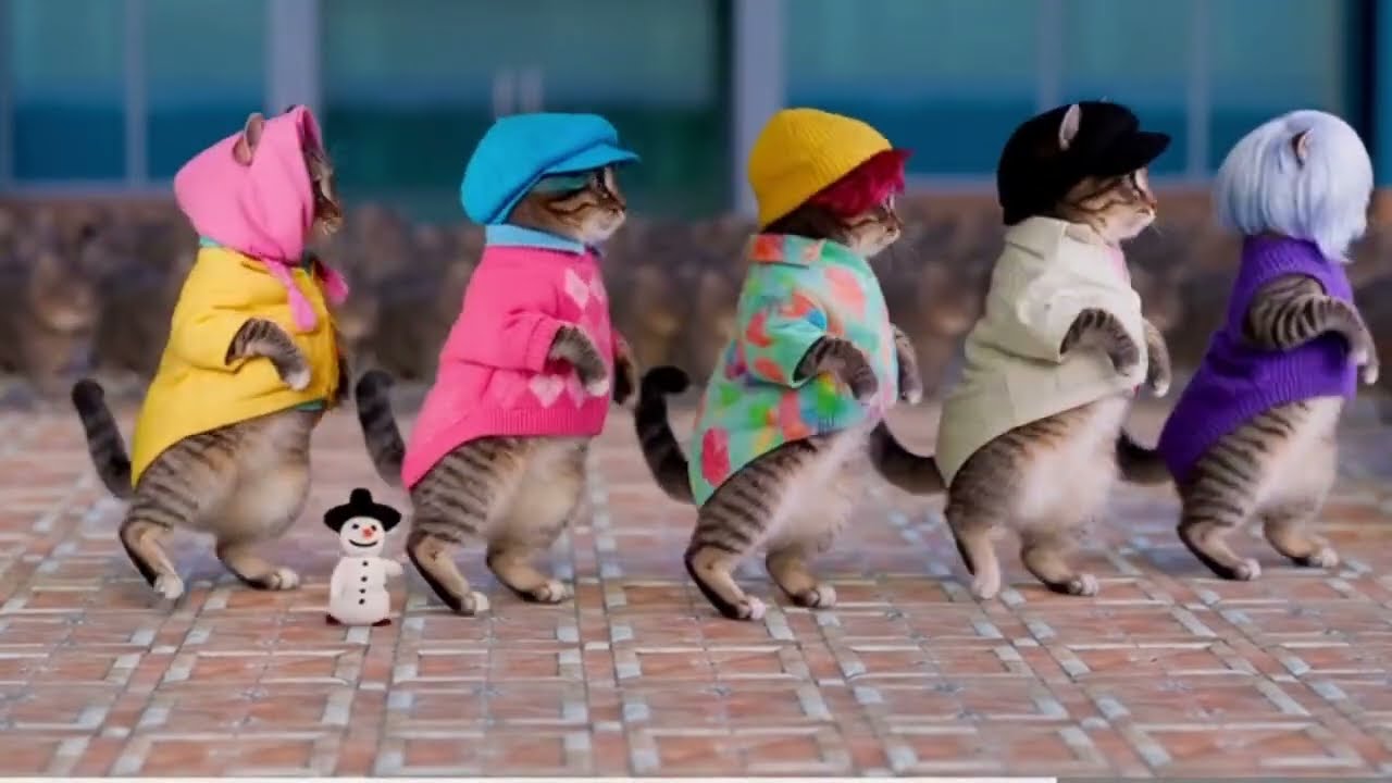 OIIA Cat x SODA POP ( kpop Demon Hunters Scene ) | Cat Dance | oiia cat dance (Part-15)