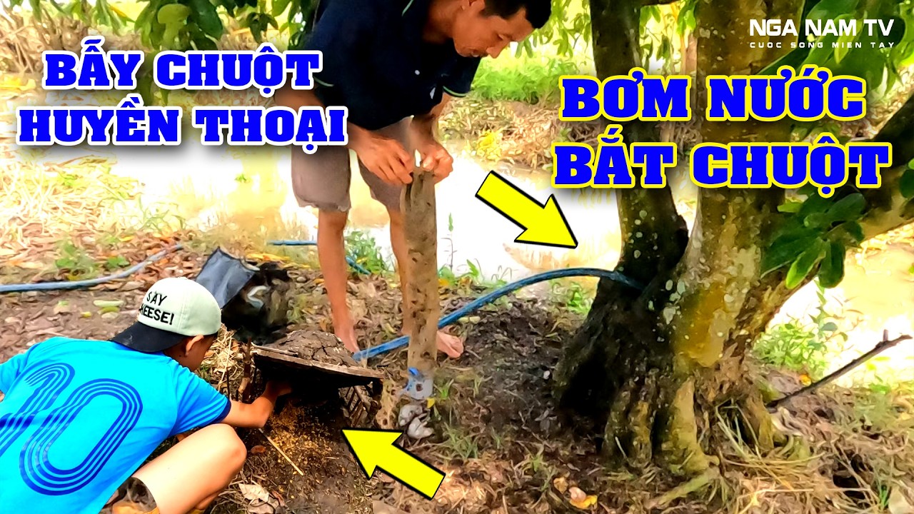 Bơm Nước Bắt Chuột Mùa Nước Nổi P1/Catch The Mouse/NGÃ NĂM TV
