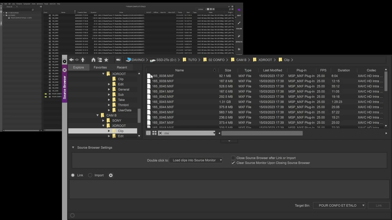 CONFO SUR AVID