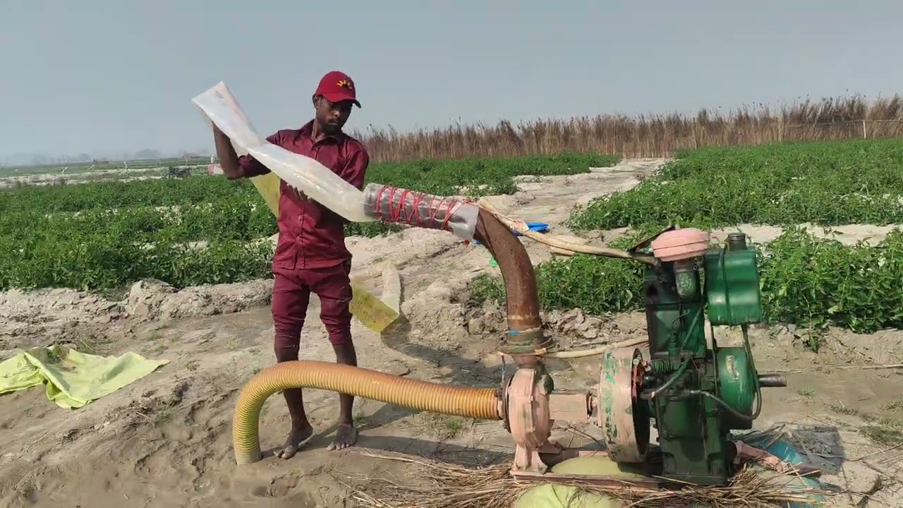Who irrigated the crop through plastic pipe with the help of old diesel engine water pump #farming 