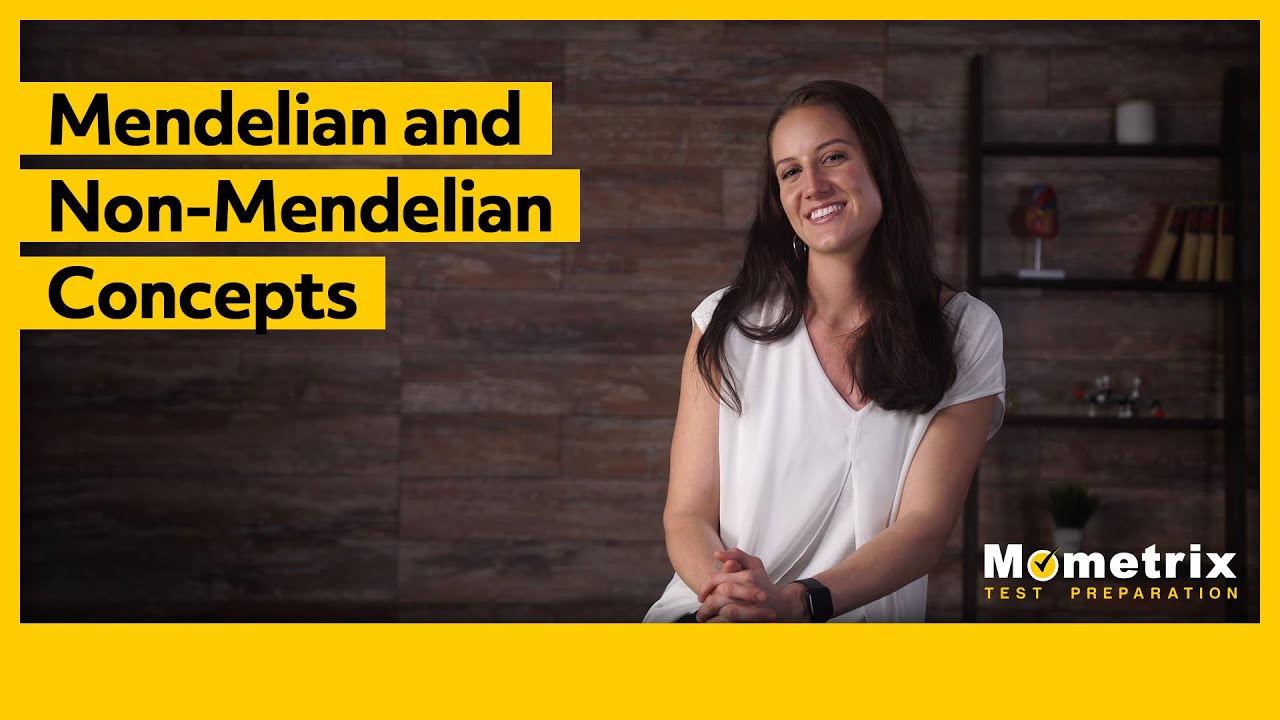 Mendelian and Non-Mendelian Concepts
