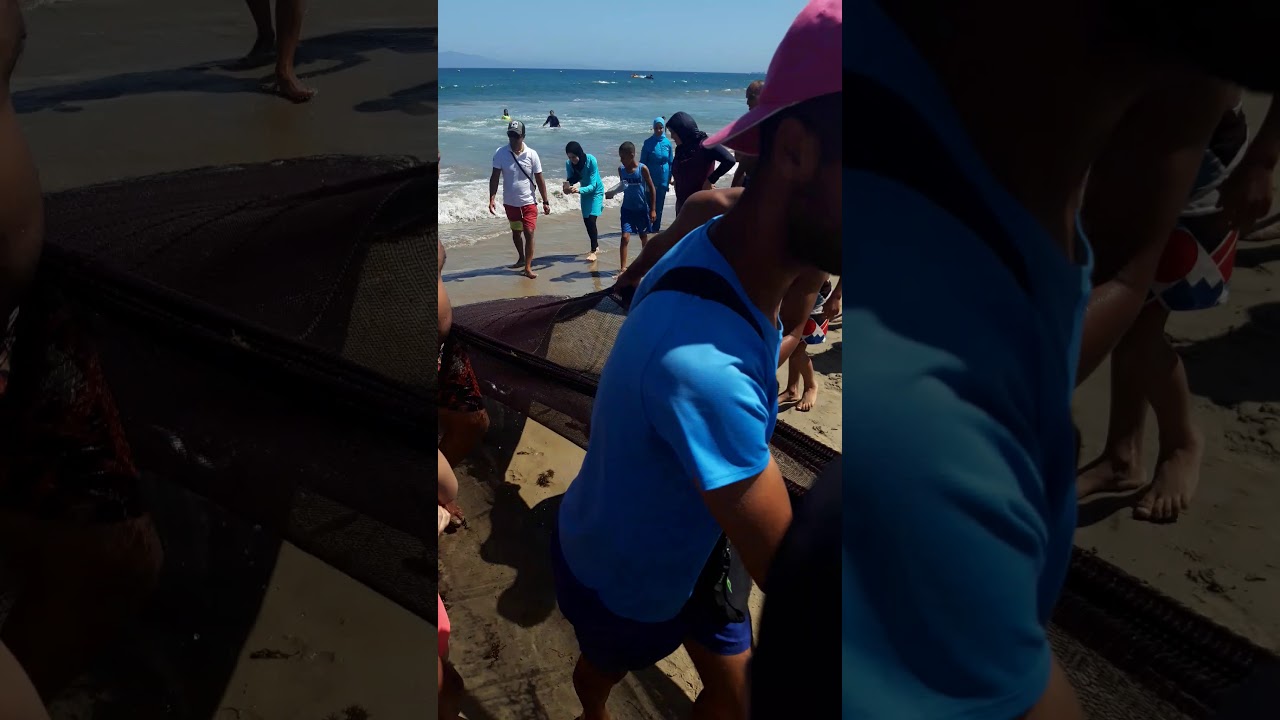 OUED ALIAN TANGER شاطئ واد أليان طنجة لحظة إخراج السمك