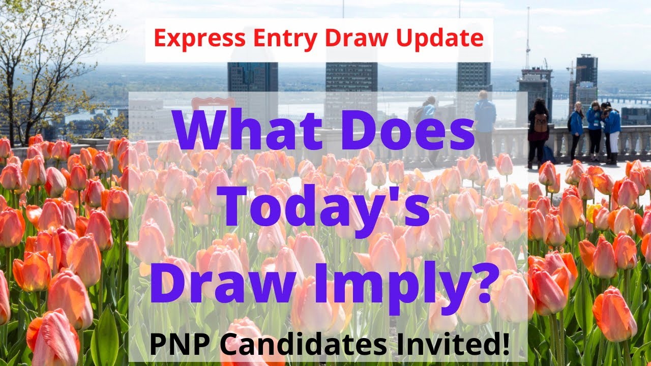 What Does Today&rsquo;s Express Entry Draw Mean | Express Entry Canada |DCC Immigration