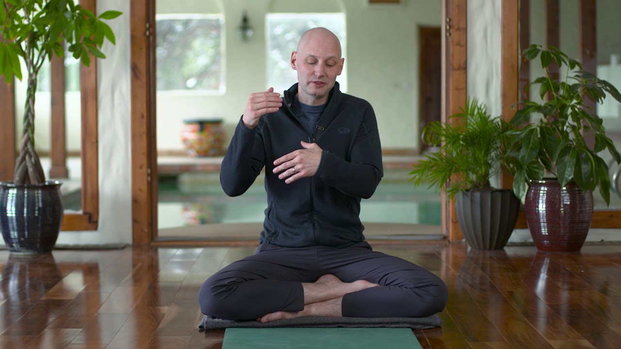 Josh Summers - Yin Yoga and Acupuncture (Yin 101 Online Course)