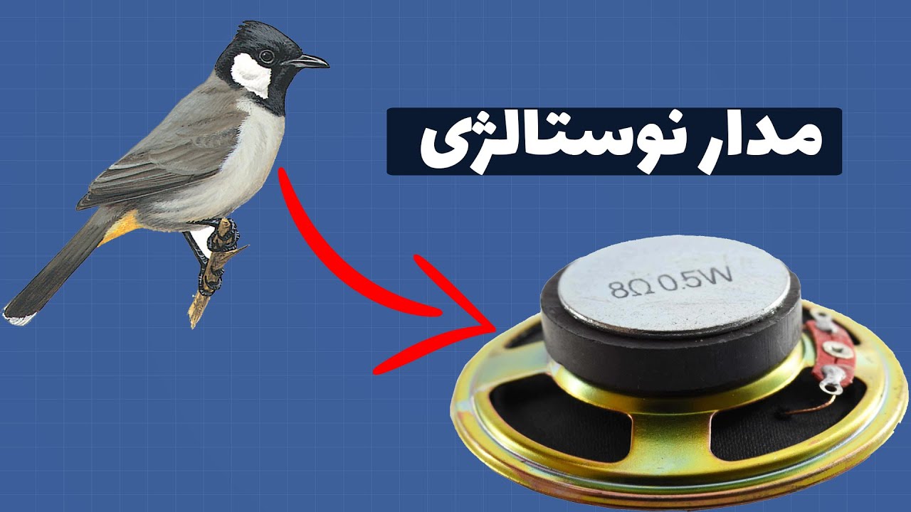 زنگ در با صدای پرنده و با استفاده از قطعات ساده | این زنگ در با صدای نوستالژی رو بساز