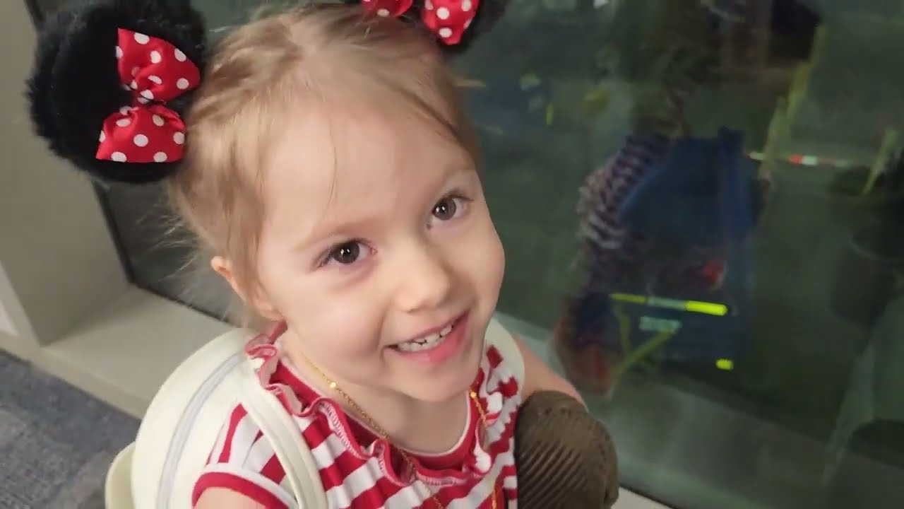 January 30, 2024: Travel Day to Walt Disney World