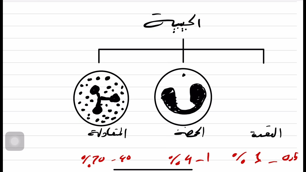 تعليم رسم | رسم خلايا الدم.