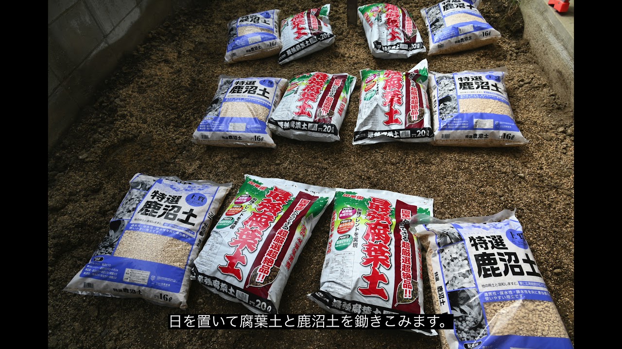 中古戸建、庭改善後半、もみ殻で水はけ劇的改善、腐葉土鋤きこみ