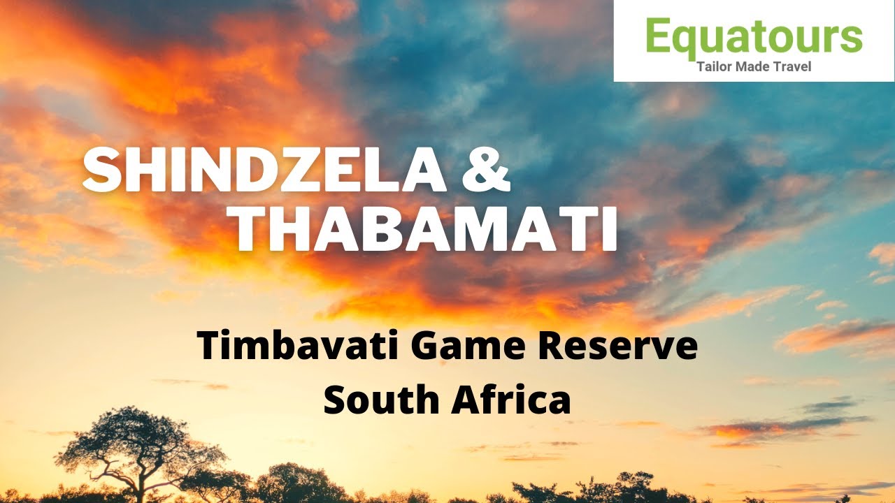 Shindzela Tented Camp & Thabamati Luxury Tented Camp - 2 gems in the Timbavati Private Game Reserve