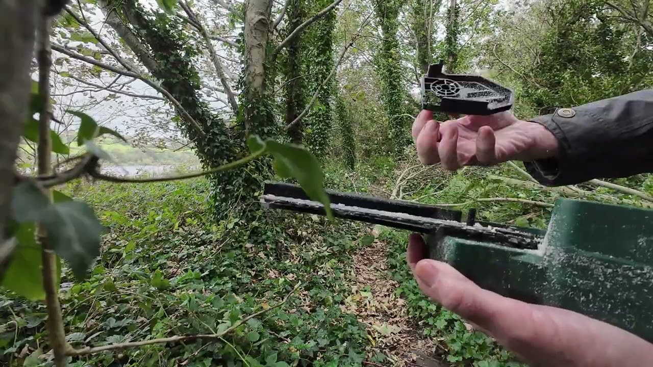 Trying out A Parkside Chainsaw - A5 Main Road, Near Prehen, Londonderry 5th October 2025