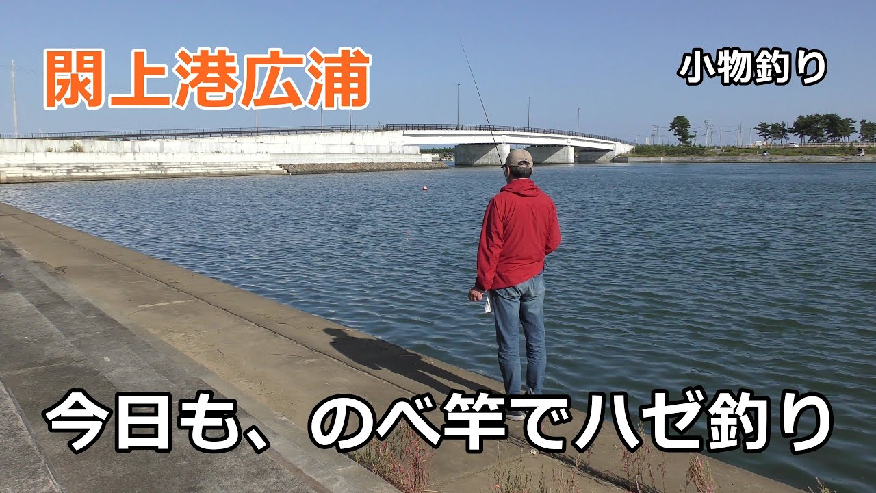 今日も、のべ竿でハゼ釣り / 宮城名取市閖上港広浦  /   のべ竿でハゼ  /  宮城のハゼ釣り  /  小物釣り
