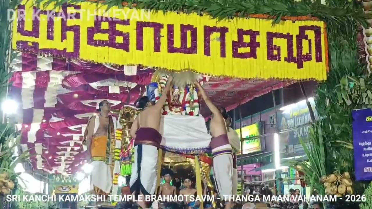 SRI KANCHI KAMAKSHI TEMPLE BRAHMOTSAVM - THANGA MAAN VAHANAM - 2026
