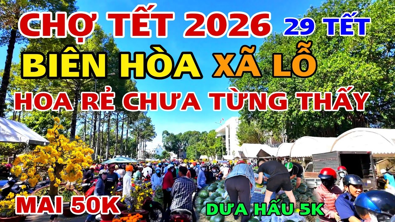 CHỢ HOA TẾT BIÊN HÒA 2026 MAI TẾT VÀ DƯA HẤU RẺ CHƯA TỪNG THẤY VỠ TRẬN CẢNH NGƯỜI ĐI MUA HOA TẾT .