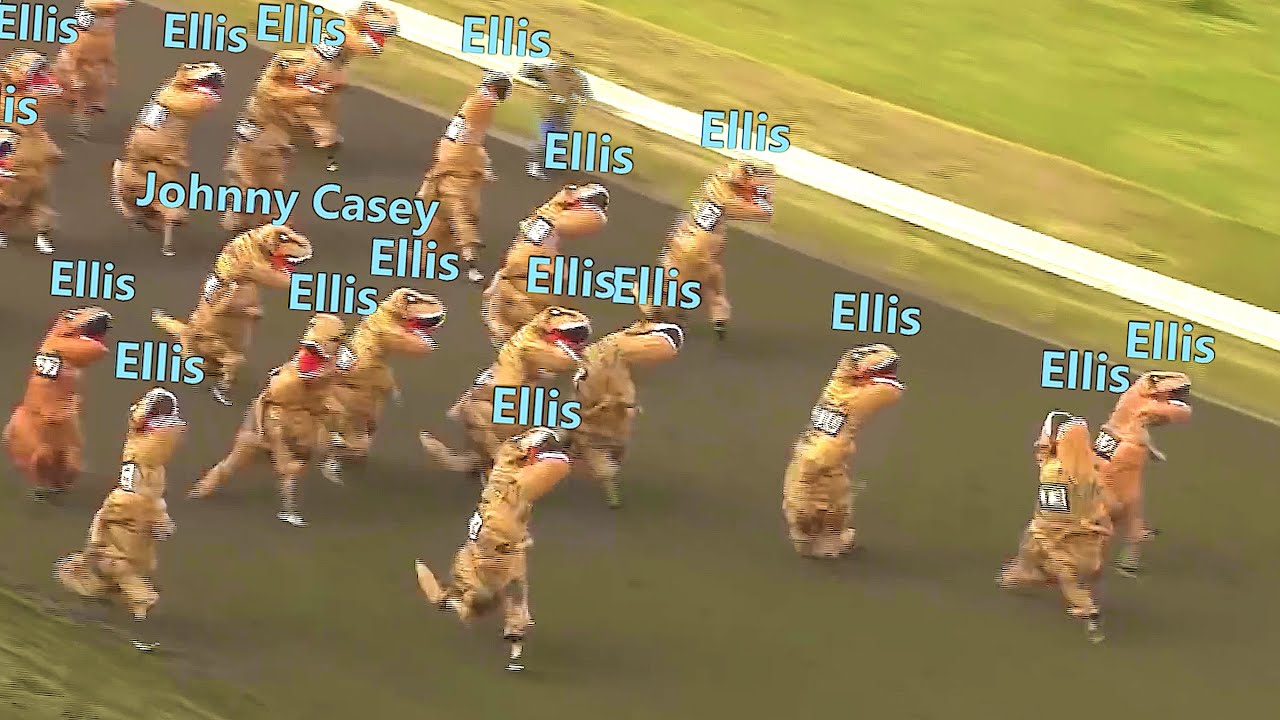 Э л л и с　Г е й м и н г