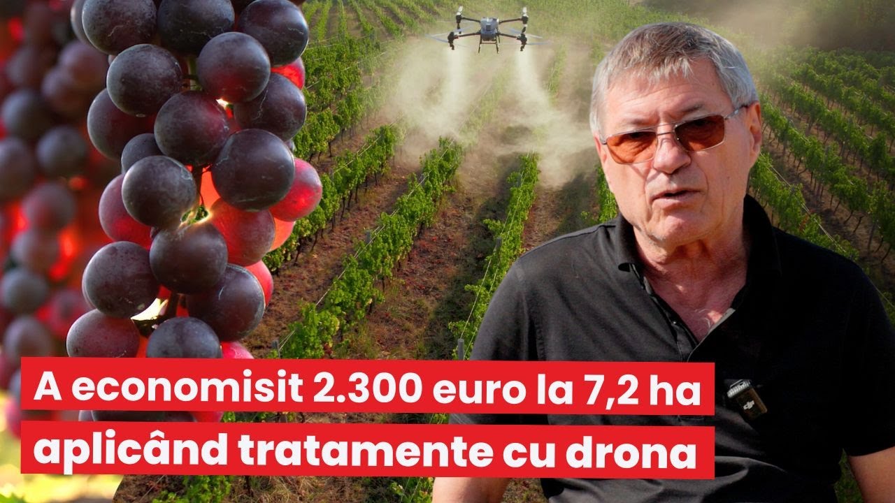 🍇💧A economisit 2.300 euro aplicând tratamente cu drona într-o plantație de viță-de-vie de 7,2 ha