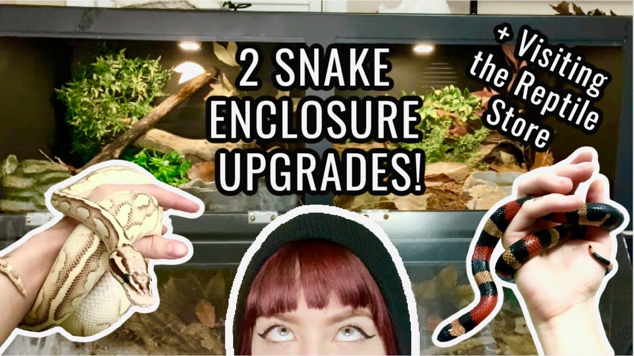 UPGRADING 2 OF MY SNAKE ENCLOSURES! +A Trip to the Reptile Store!