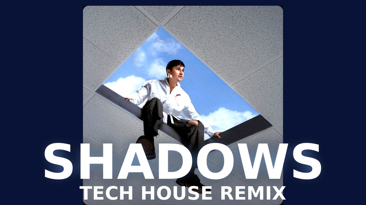 John Summit, LAVINIA - SHADOWS (Milyo Remix) [Tech House] [Melodic Techno]