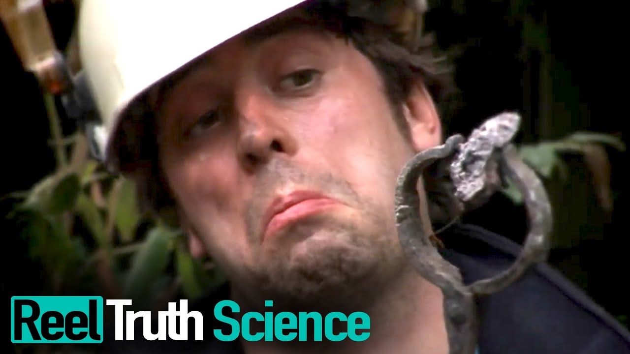 From Scratch | Episode 3 | Docuseries | Reel Truth Science