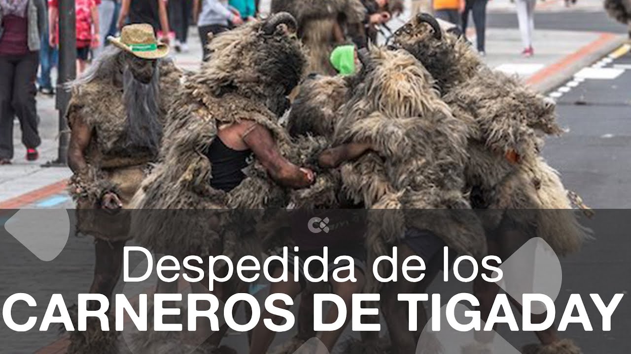 Los Carneros de Tigaday se despiden de sus carnavales