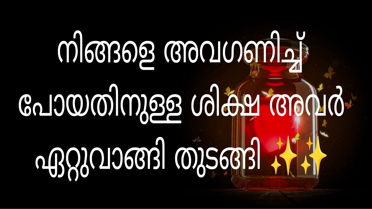 നിങ്ങളെ അവഗണിച്ച് പോയതിനുള്ള ശിക്ഷ അവർ ഏറ്റുവാങ്ങി തുടങ്ങി ✨✨