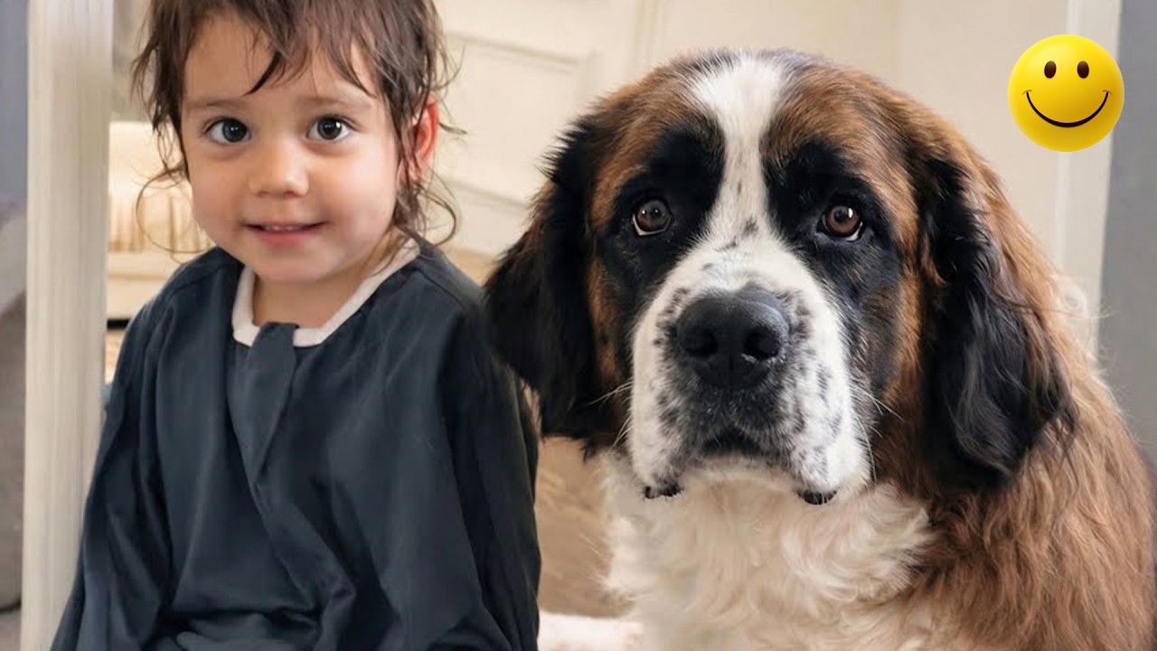 This Gentle Giant Dog Turns Into a Baby’s Nanny 🐶💛