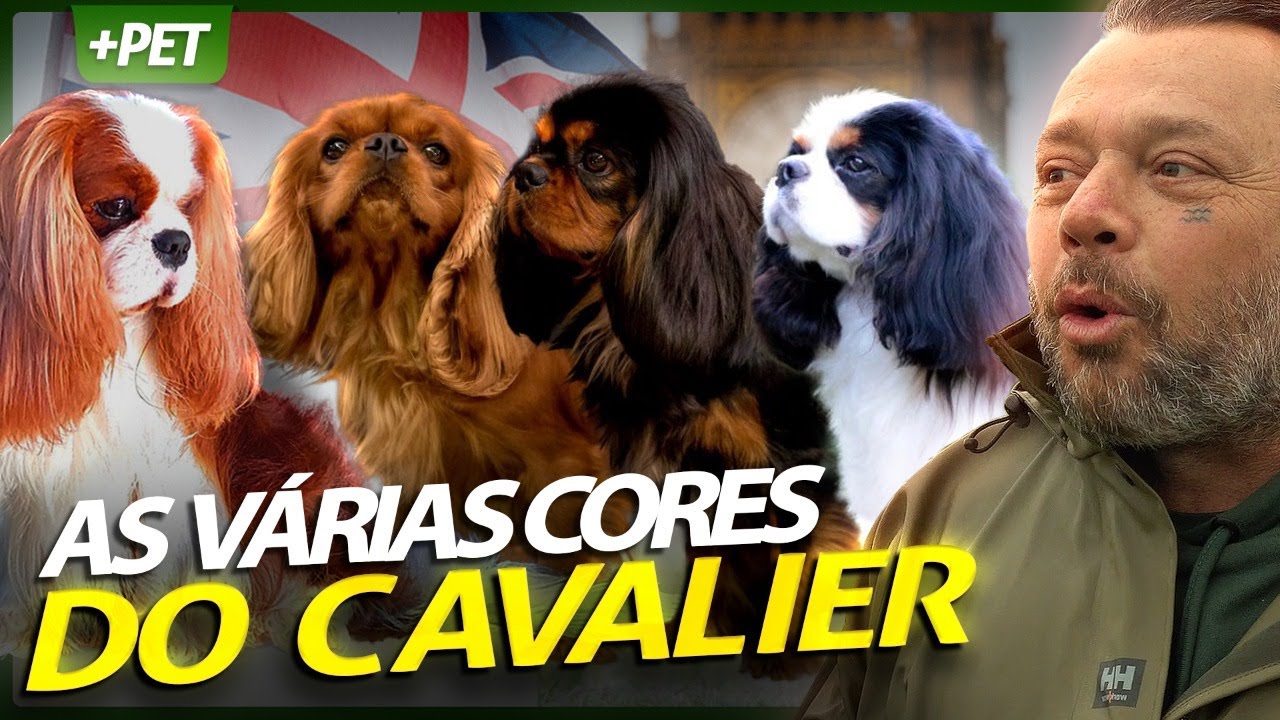 NÃO SEJA ENGANADO, SÓ EXISTEM 4 CORES DE CAVALIER KING! | RICHARD RASMUSSEN