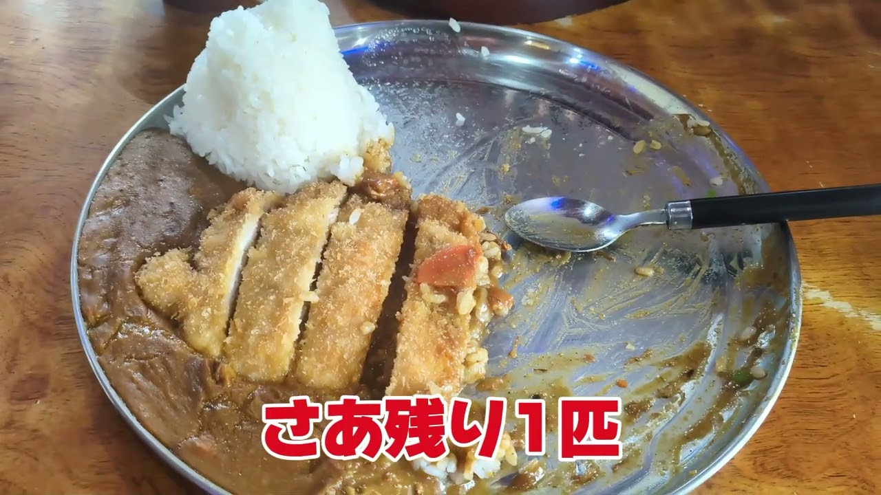 【デカ盛り】滝川スロッピーキャットで大食いに