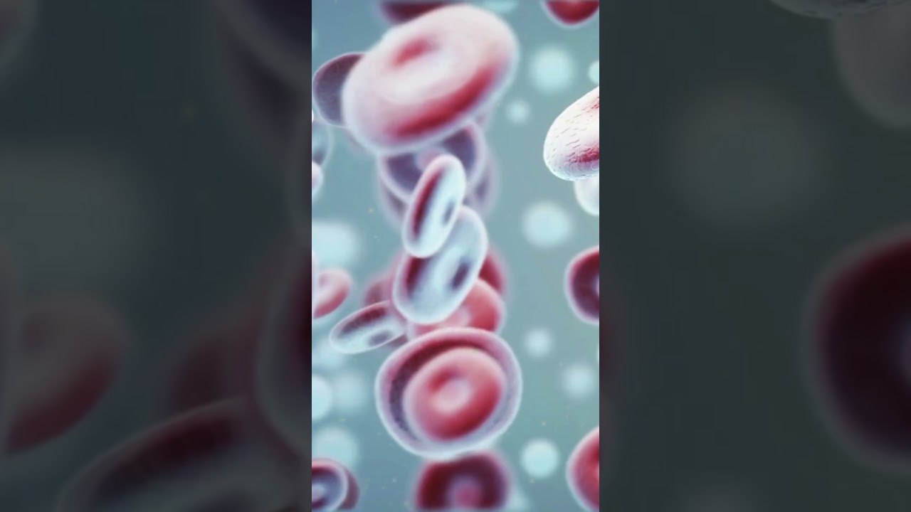 What Is Leukopenia? Causes, Symptoms & Blood Cancer Links  | Dr. Meet Kumar | BMT Next #hematology