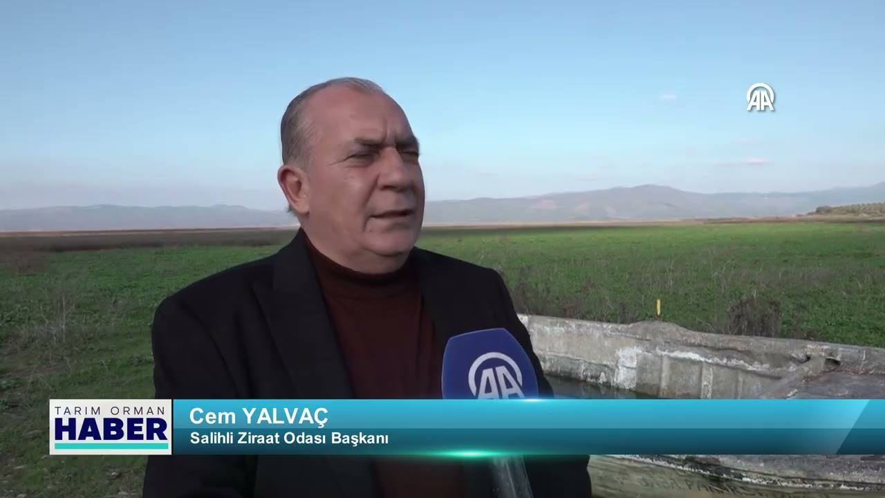 Kuruyan Marmara Gölü yeniden su tuttu