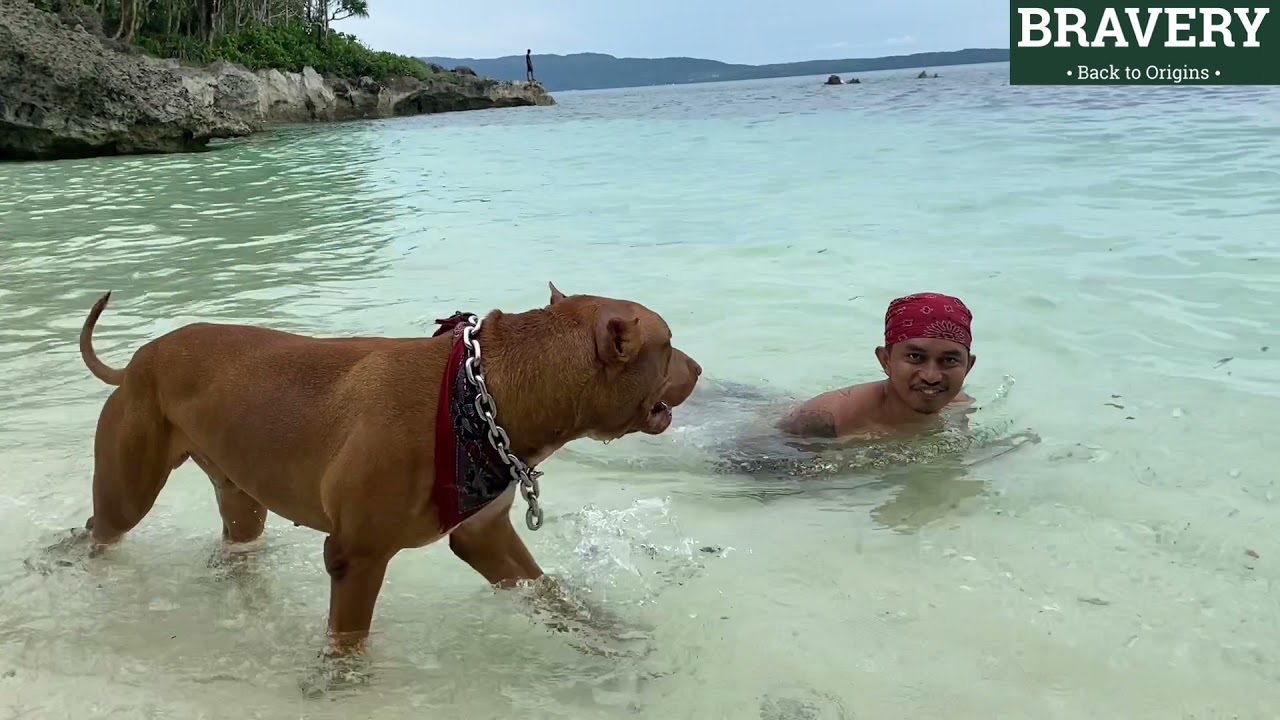 PABLITO MANDI DI PANTAI KEI - airnya masih sangat jernih