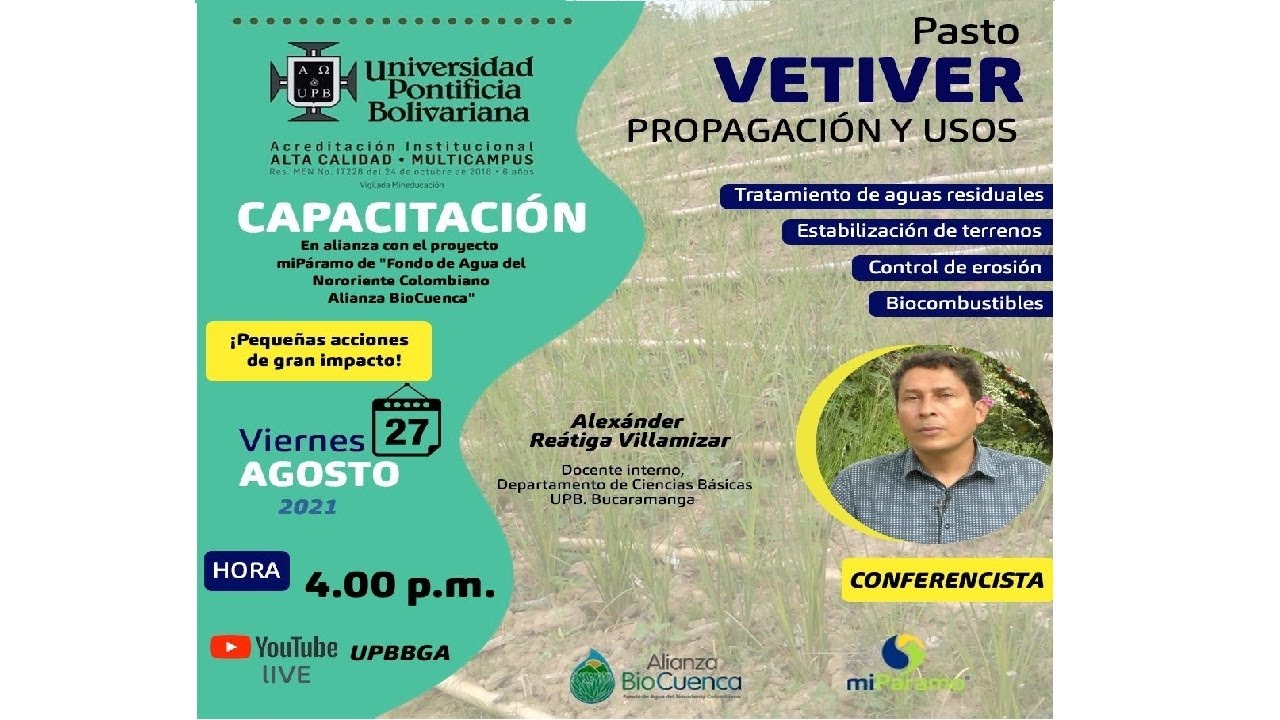 Pasto Vetiver, Propagación y Uso