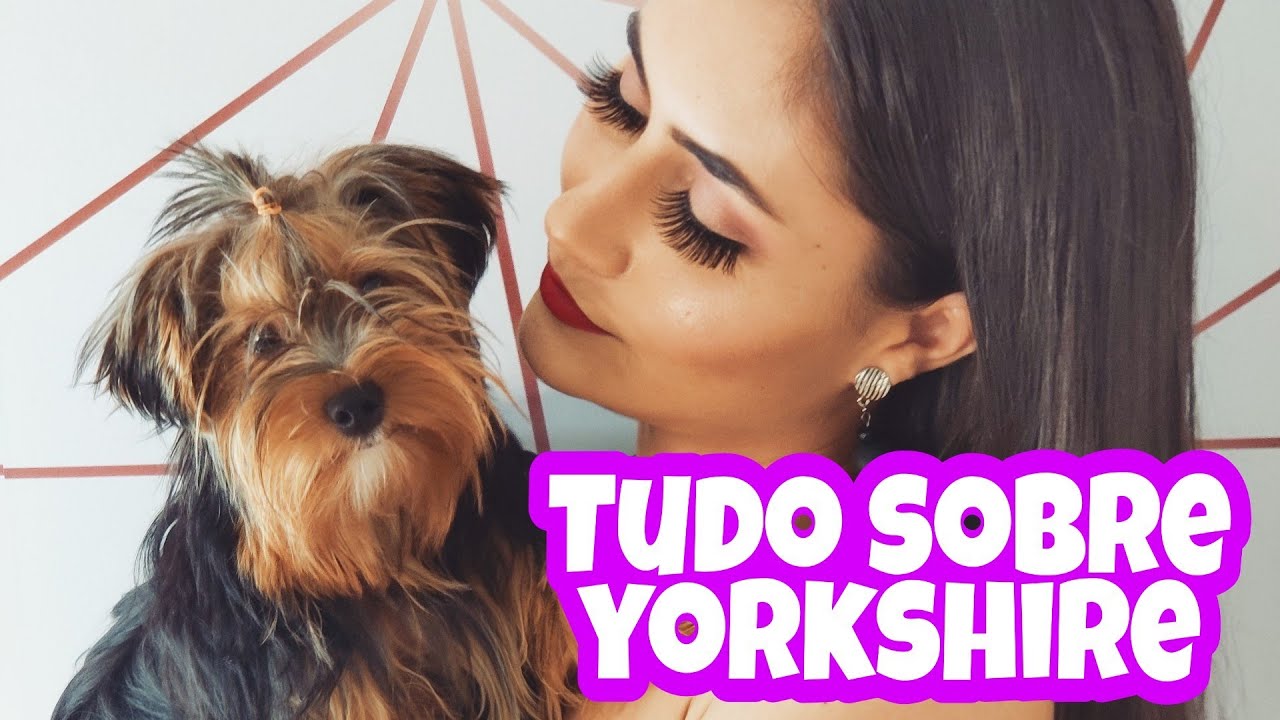 COMO É TER UM YORKSHIRE ? - XIXI NO LUGAR CERTO, ADAPTAÇÃO, GRAVIDEZ PSICOLÓGICA, CASTRAÇÃO, DICAS!