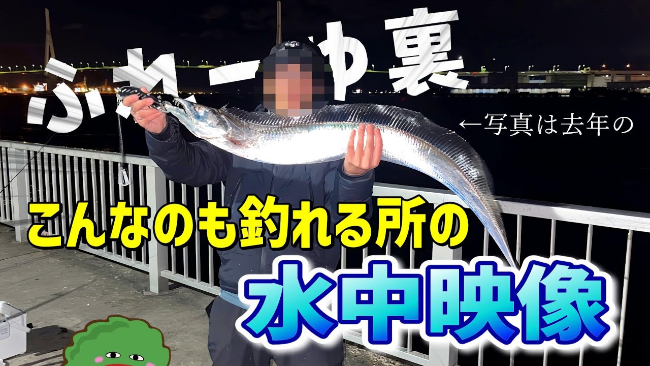 【ふれーゆ裏】水中にカメラ落としたらあの子が沢山居た