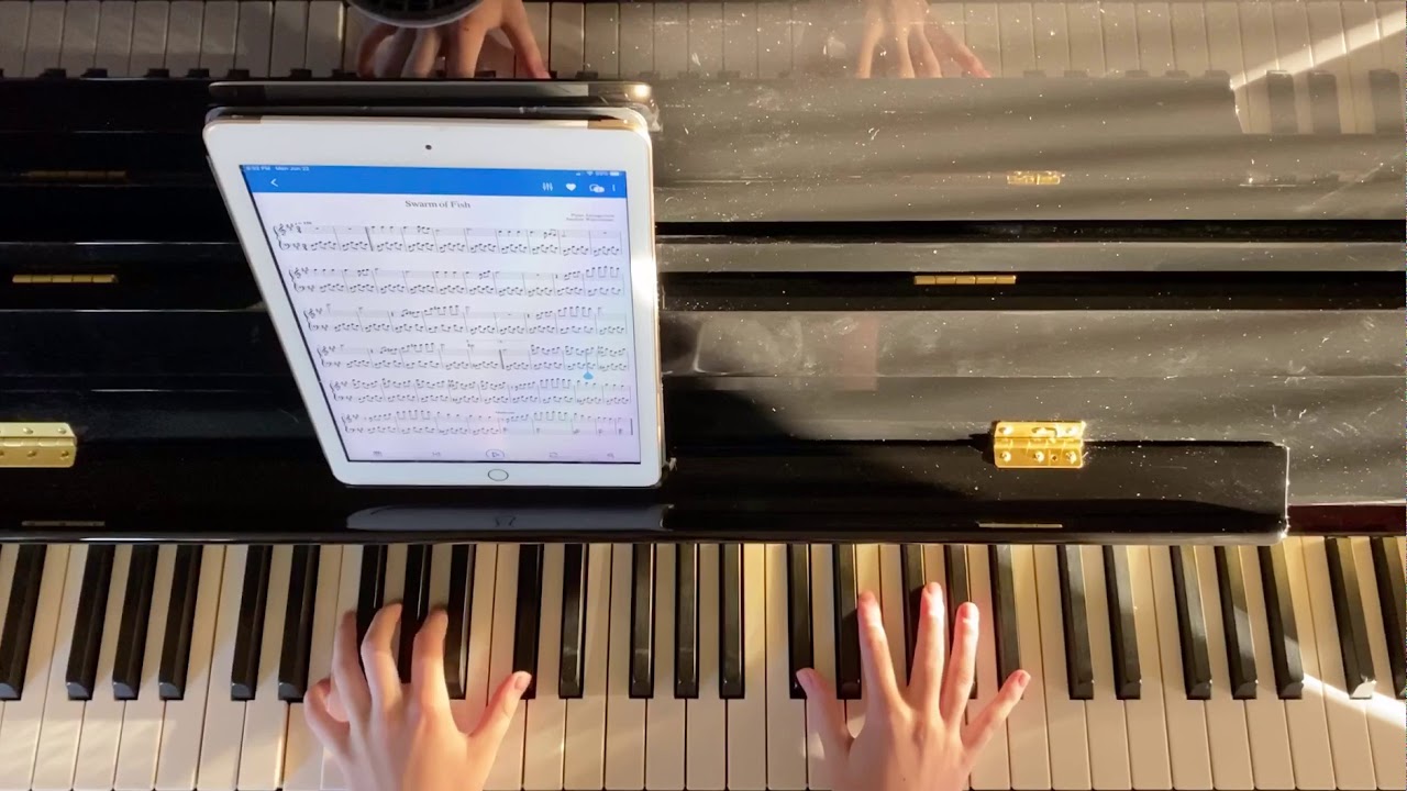 Swarm of Fish | Piano Cover