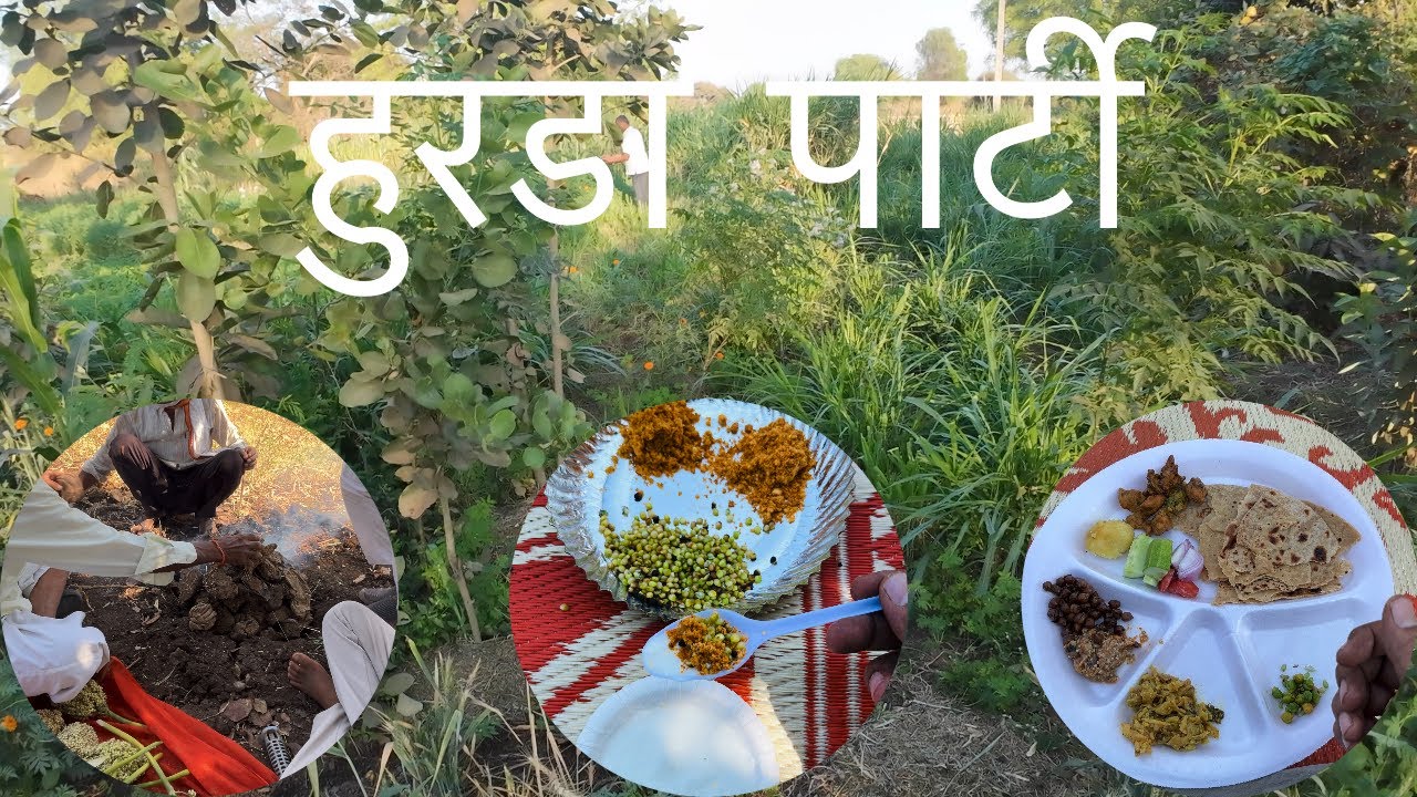 चला गावी हुरडा खायला 🍃