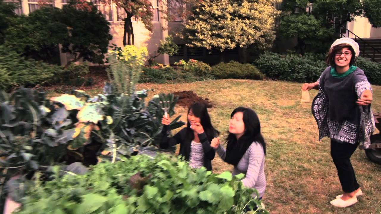 Dream Green at David Thompson - LipDub