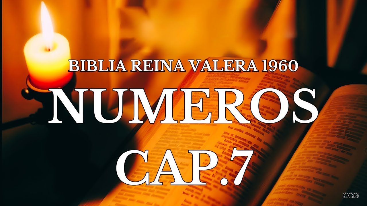 Biblia Hablada-BIBLIA REINA VALERA 1960-NUMEROS CAP.7