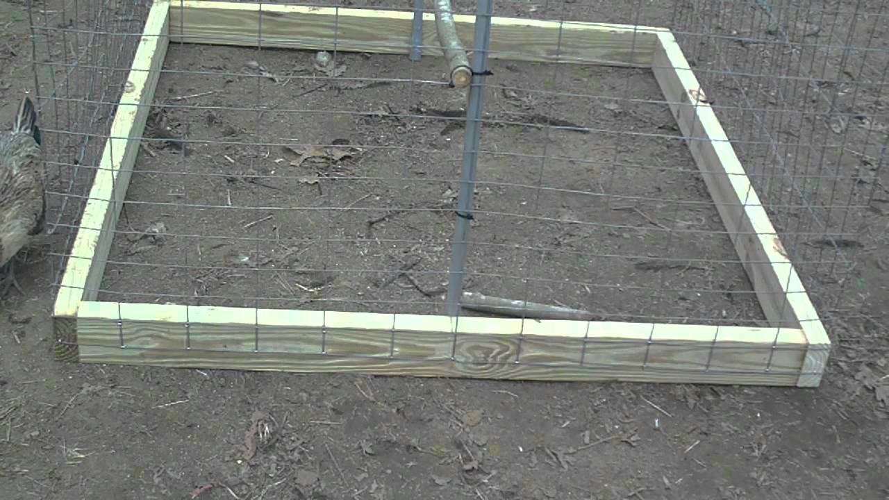 BUILDING 4X4 GAMEFOWL DOME PEN CHICKEN COOP CAGE