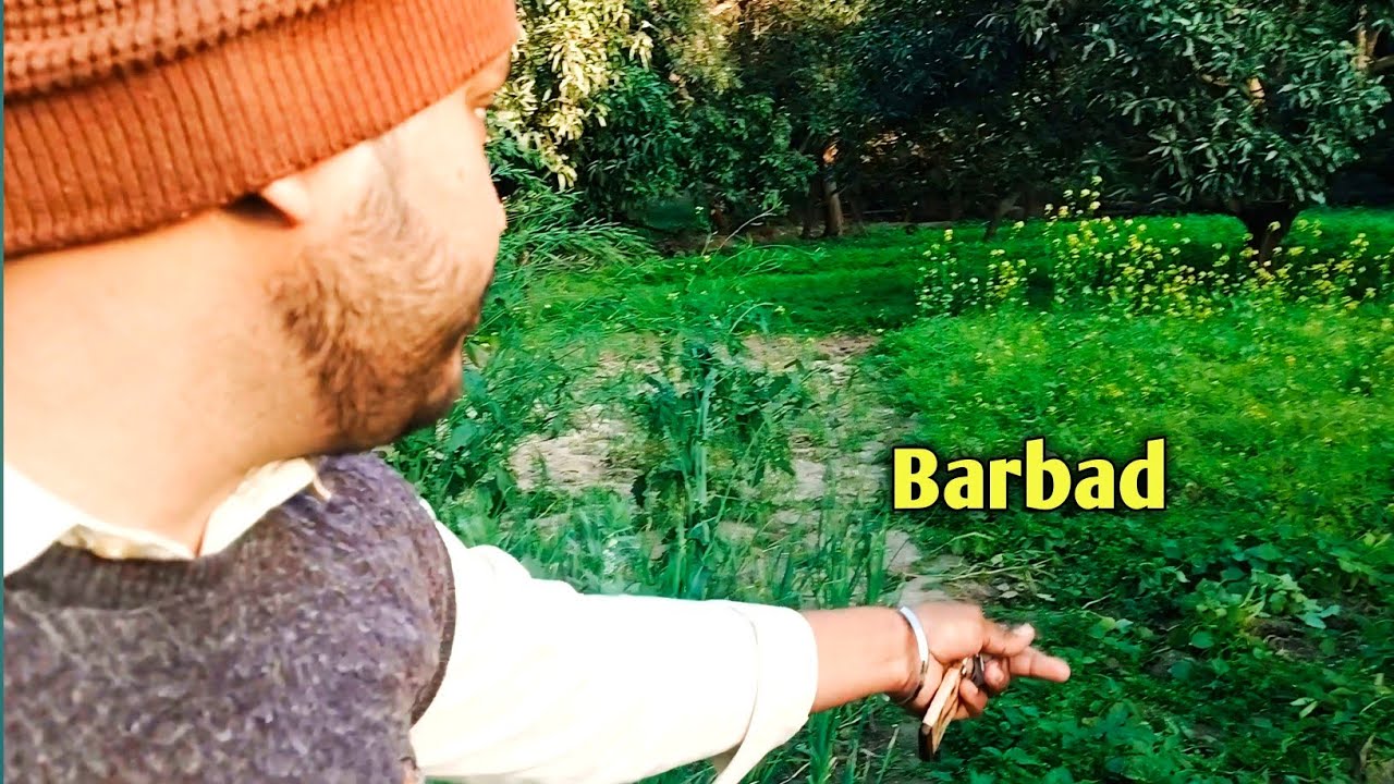 Is Janwar Ne Aloo Ki Fasal Barbad Kar Di || @UniqueVlogsbyGDA