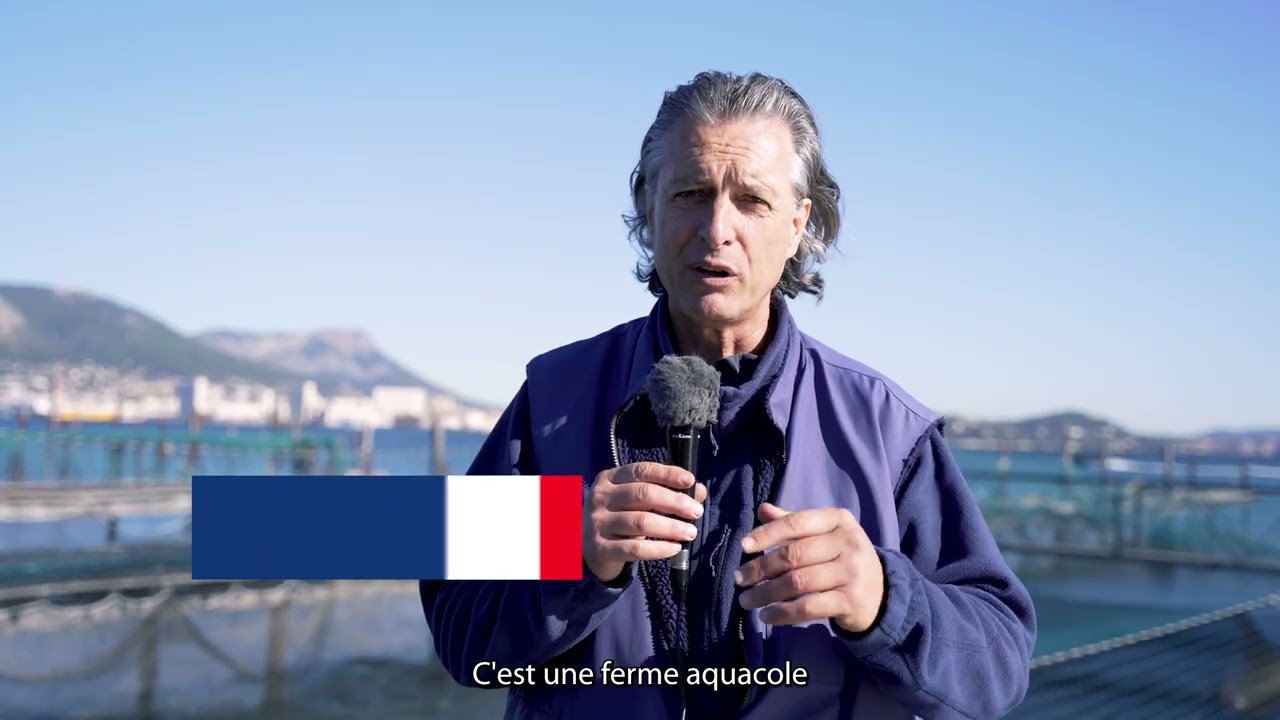 Conseil d'administration à la ferme aquacole Cachalot - Balaguie