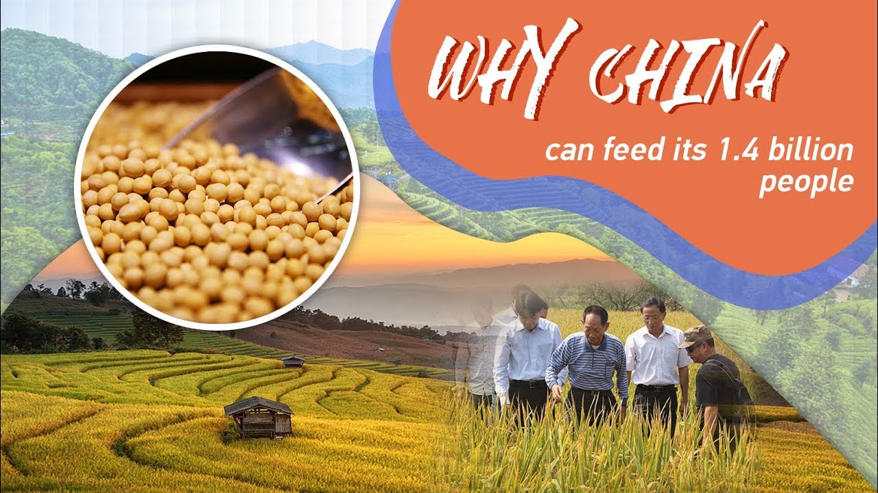 Why China can feed its 1.4 billion people