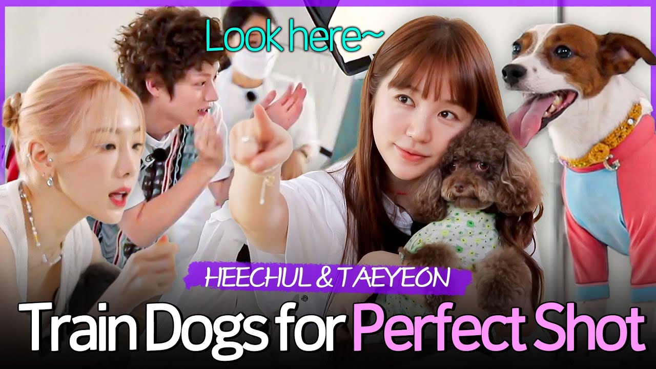 HEECHUL & TAEYEON TEACH Dogs How to POSE Like SJ & SNSD 🌟🌟🌟