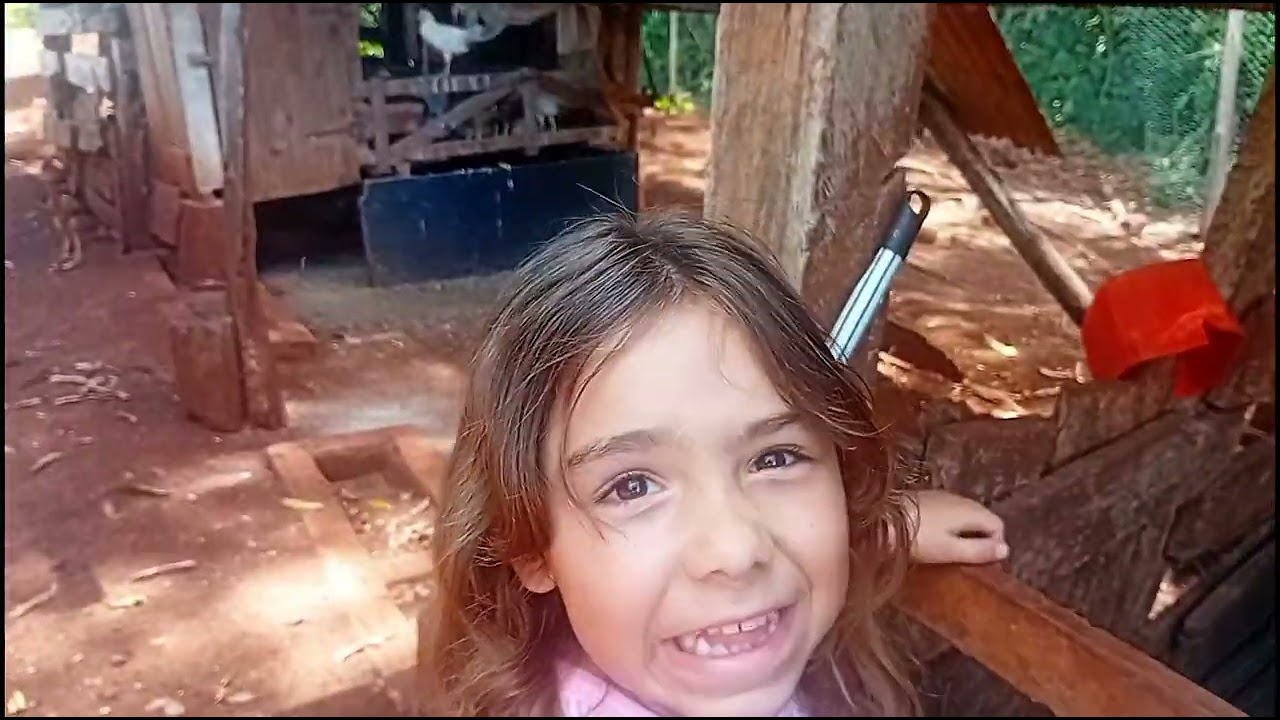 Limpando o galinheiros!!!