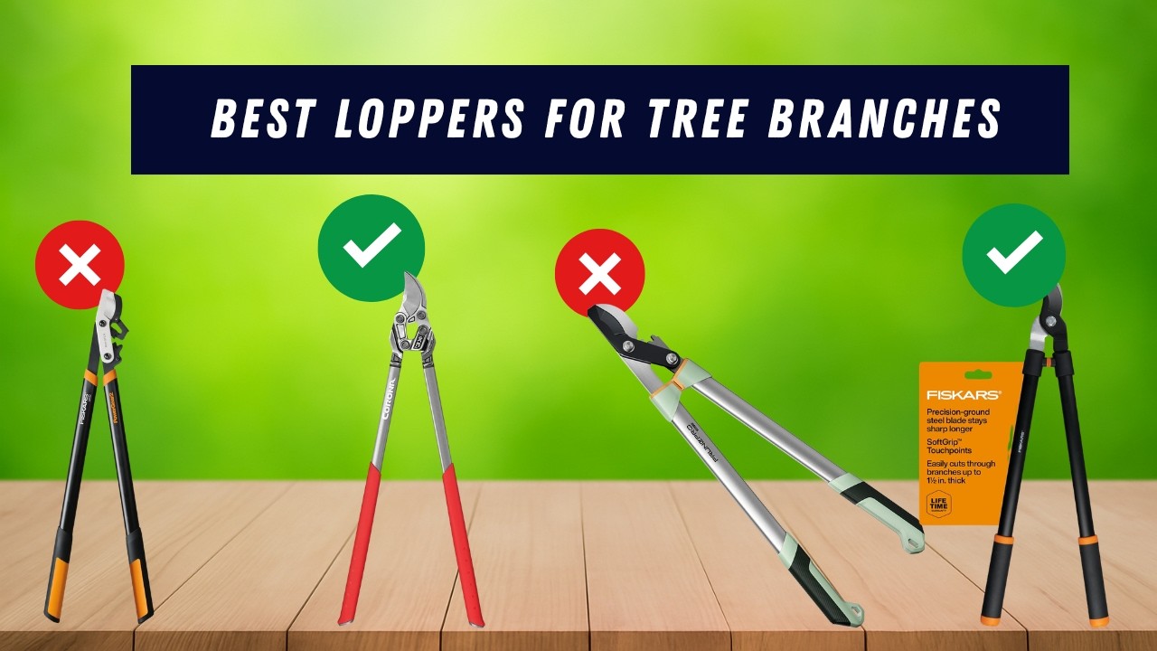 Top 5 Best loppers for tree branches – Powerful, Sharp & Easy to Use!