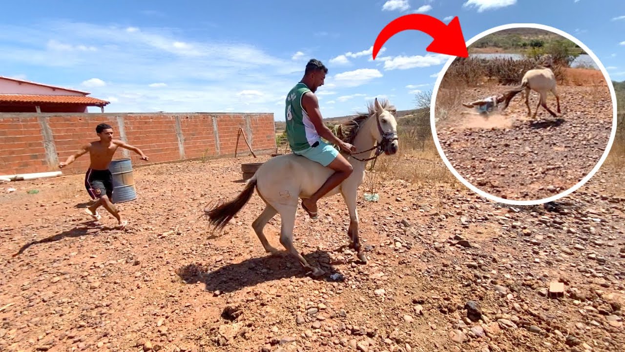 TODOS SE DERAM MAU COM MINHA ÉGUA BRABA FOI QUEDA
