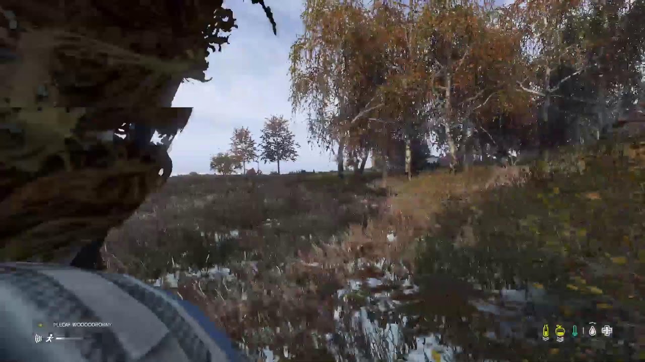 DAYZ LIVE PL/ENG SNOWY SAKHAL