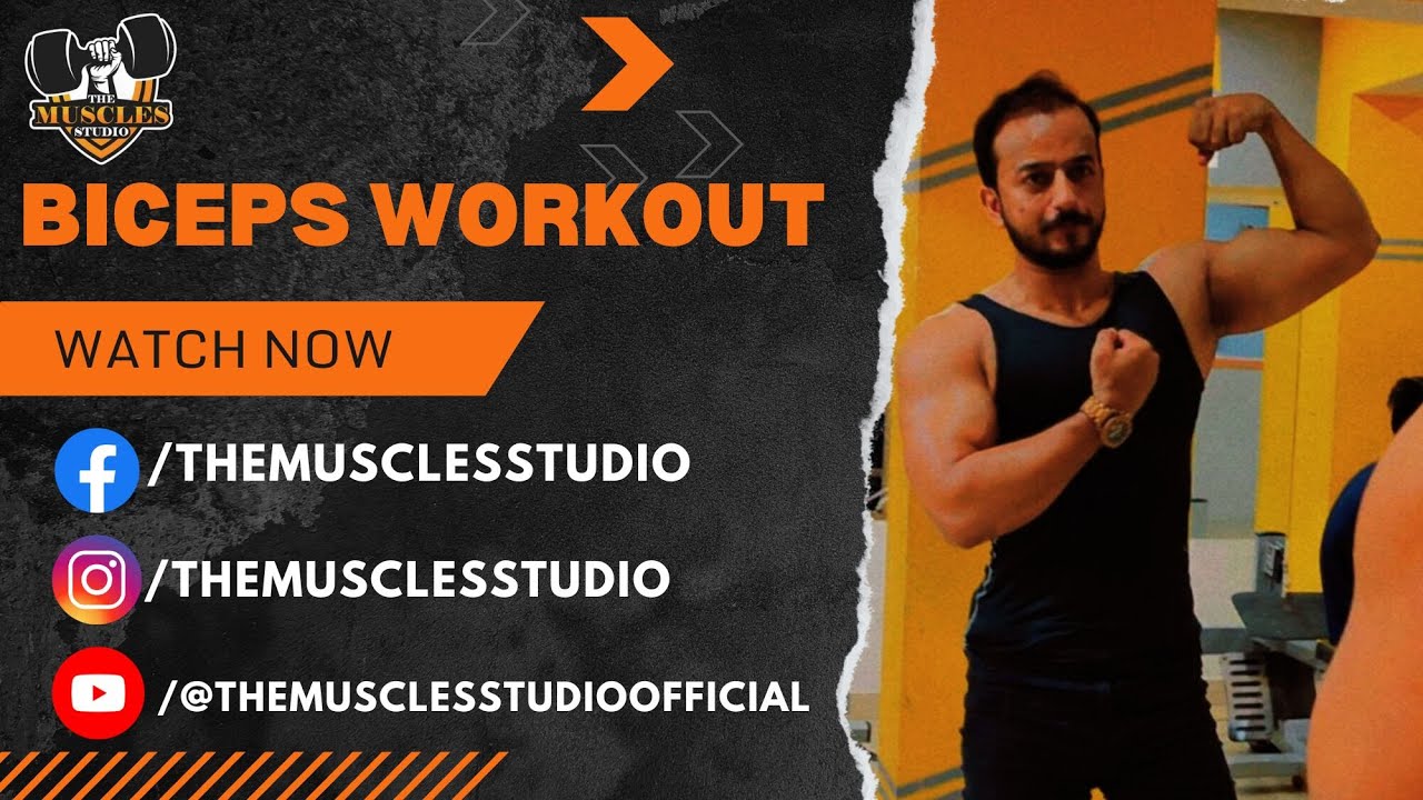 Biceps Workout | Basic workout | The Muscles Studio