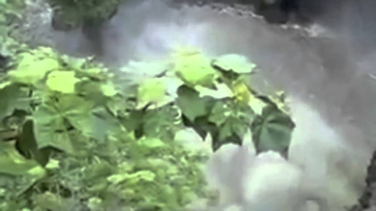 Indore India Patalpani Waterfall Accident   Family Swept Away