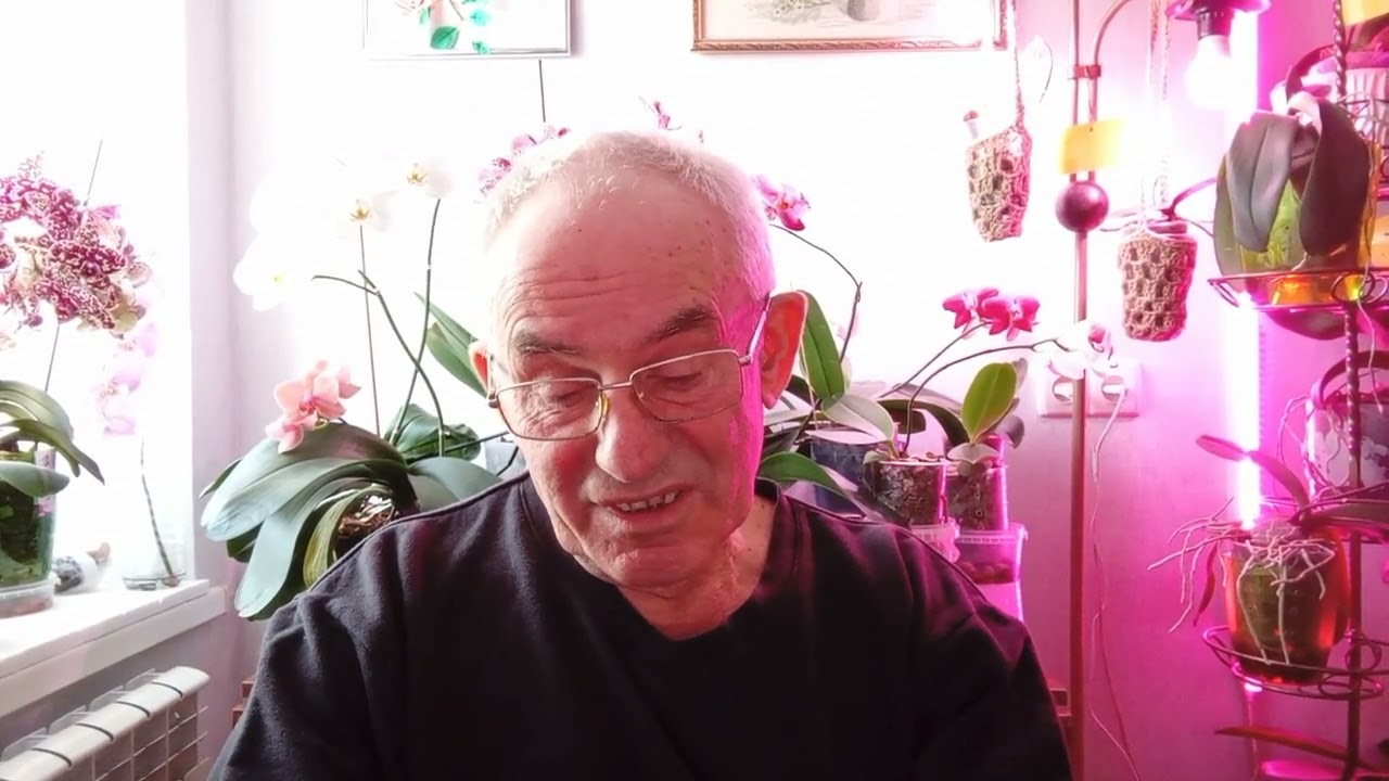 Крым.Кировский район. Мошенники ,полиция и прокуроры за подлог и самоуправство.