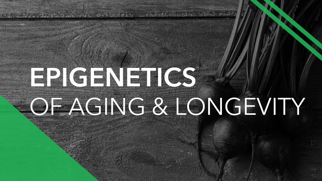 Epigenetics Of Aging & Longevity